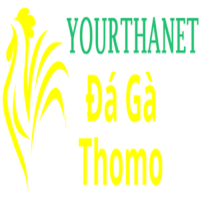 Đá Gà Trực Tiếp Thomo
