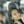 shalini kn