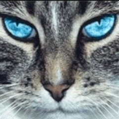 Людмила Распопова