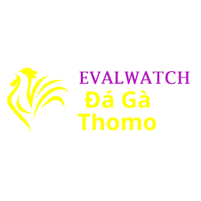Đá Gà Trực Tiếp Thomo
