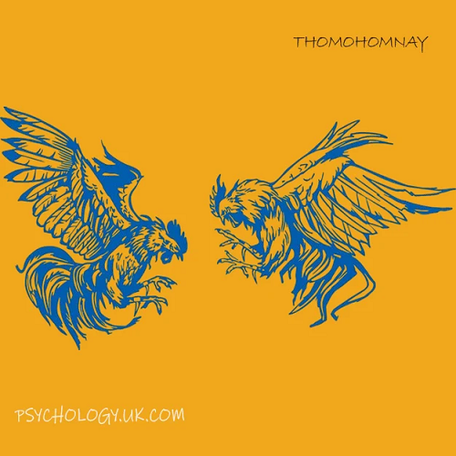 thomohomnay TRỰC TIẾP ĐÁ GÀ THOMO