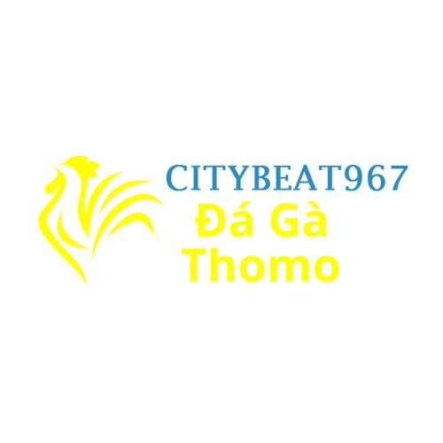 Đá Gà Trực Tiếp Thomo