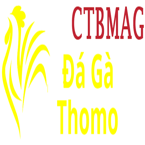 Đá Gà Trực Tiếp Thomo