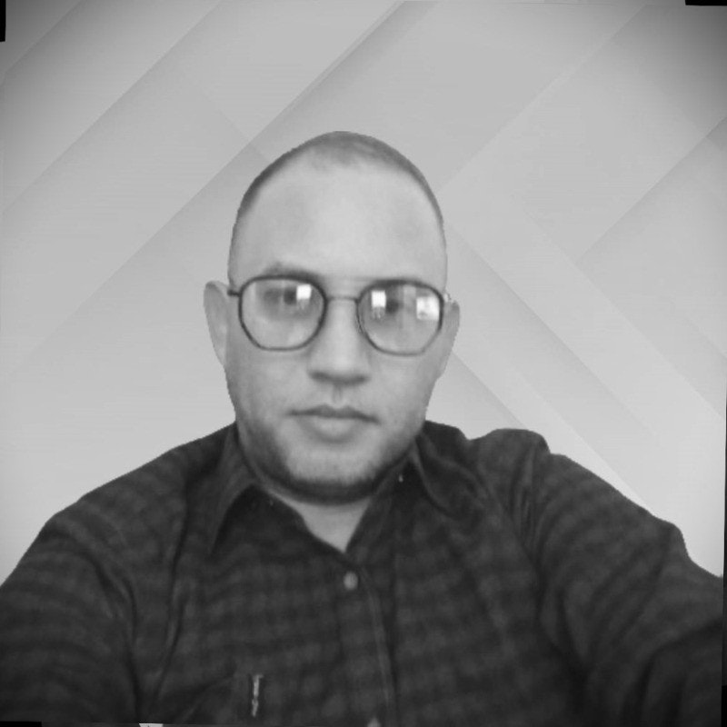 imad hamouda
