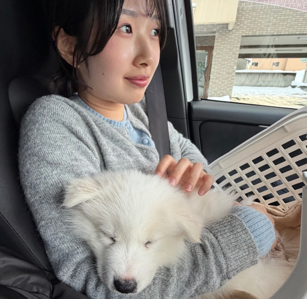 Hina