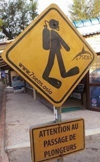 Barthélemy Picherit