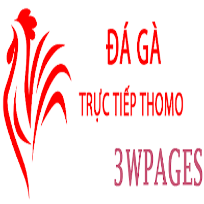 Đá Gà Trực Tiếp Thomo