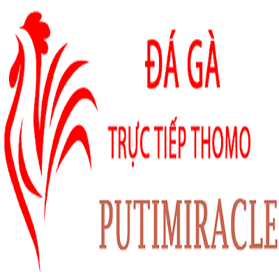 Đá Gà Trực Tiếp Thomo