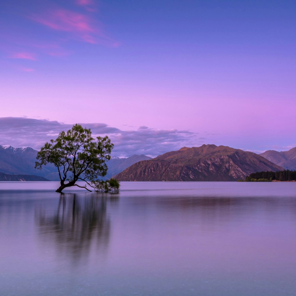 Ian Schenkel of Newport Beach