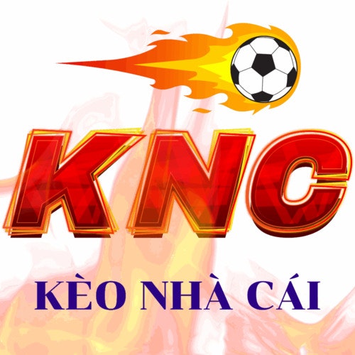 tỷ lệ kèo nhà cái hôm nay