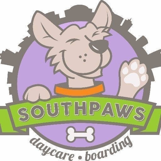 Best Daycare for Dogs in USA