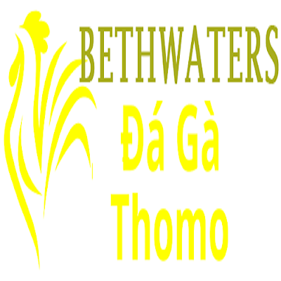 Đá Gà Trực Tiếp Thomo