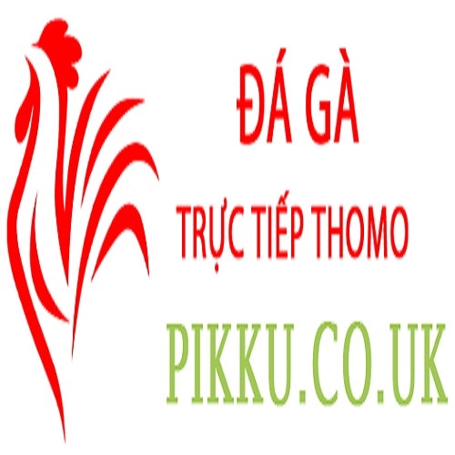 Đá Gà Trực Tiếp Thomo