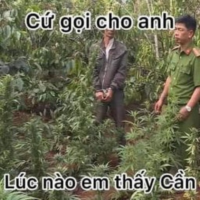 Trưởng Dương Minh