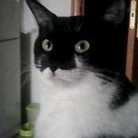 Elvira Zaragozano Fuster