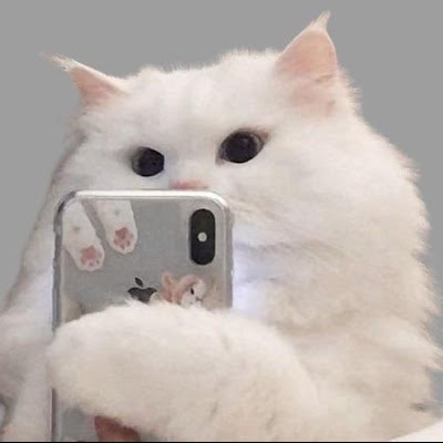 ProductHunt profile picture for @meow33