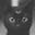 midnight