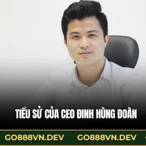 CEO Đinh Hùng Đoàn