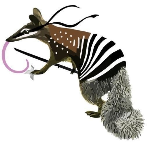 Numbat Ninja