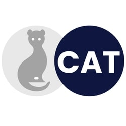 CAT Software Services 