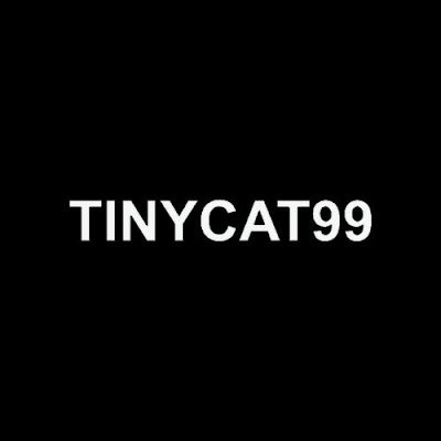 TinyCat99
