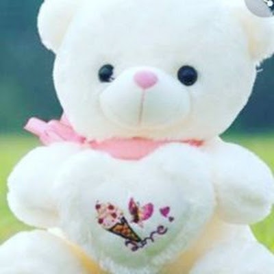 Hemanidhi Varshene Toleti