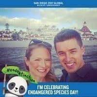 Rachel Gerrard Felton