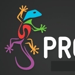 Probe