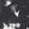 Christopher Andersson