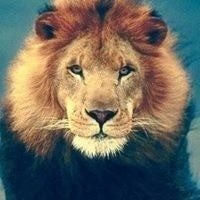 Todd William Thompson