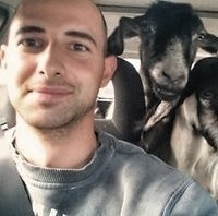 Христо Христов