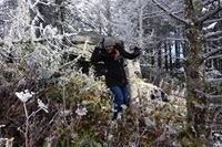 Balasree Viswanathan