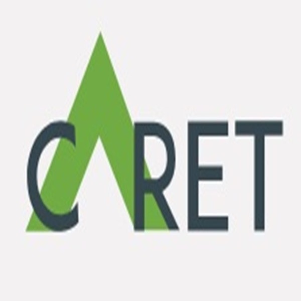 Caret IT