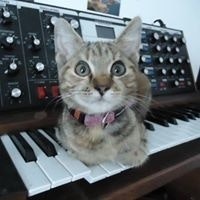 João Reinert Brüch