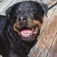 Jennifer MacMillan Eicher