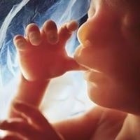 Jan Jakub Dobrowolski