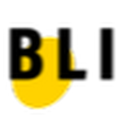 Blizzy Store