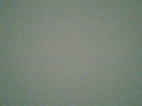 Лена Чнгнегшоит