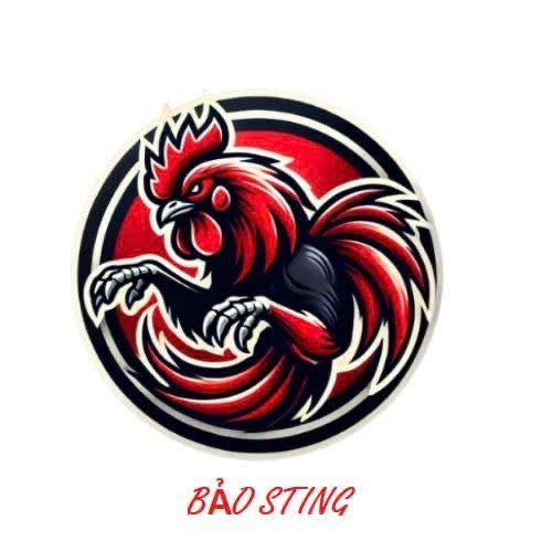 BẢO STING