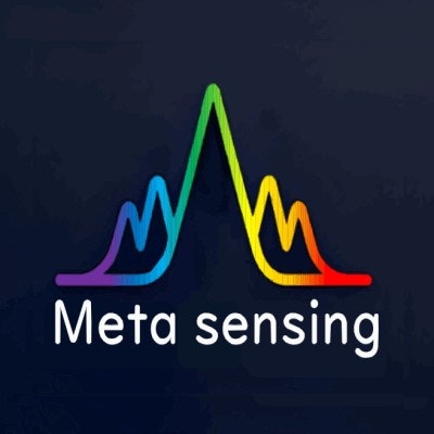 Meta Sensing