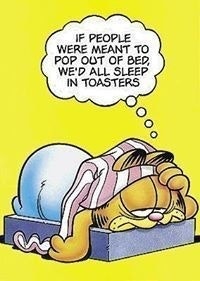 Dina ElMaamoun Nasser El-Din