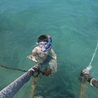 Сергей Наумов