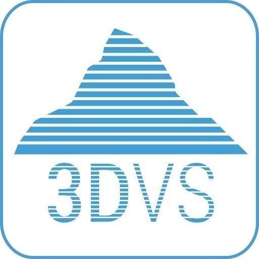 3DVS
