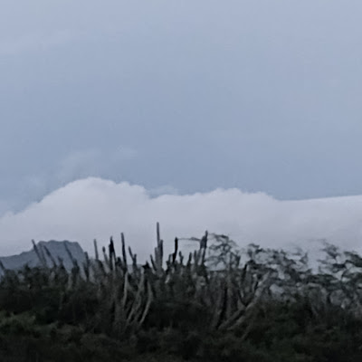 kauai surf