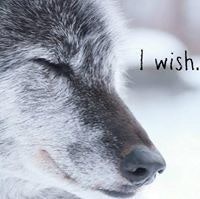 Bhavna Chauhan-Matthews