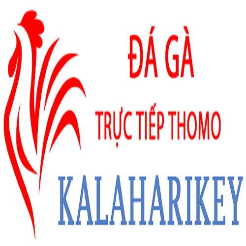 Đá Gà Trực Tiếp Thomo