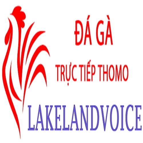 Đá Gà Trực Tiếp Thomo