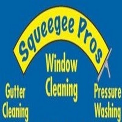 Squeegee Pros