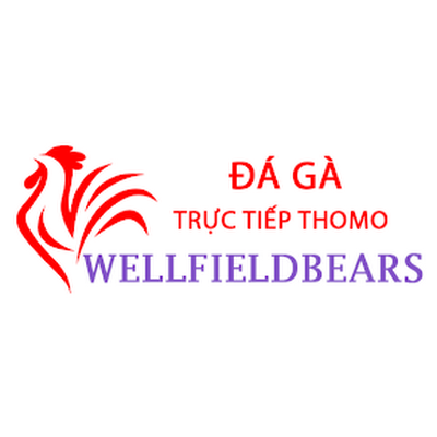 Đá Gà Trực Tiếp Thomo