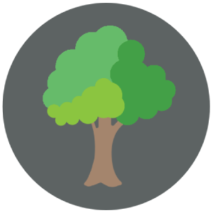Mailtrees Admin
